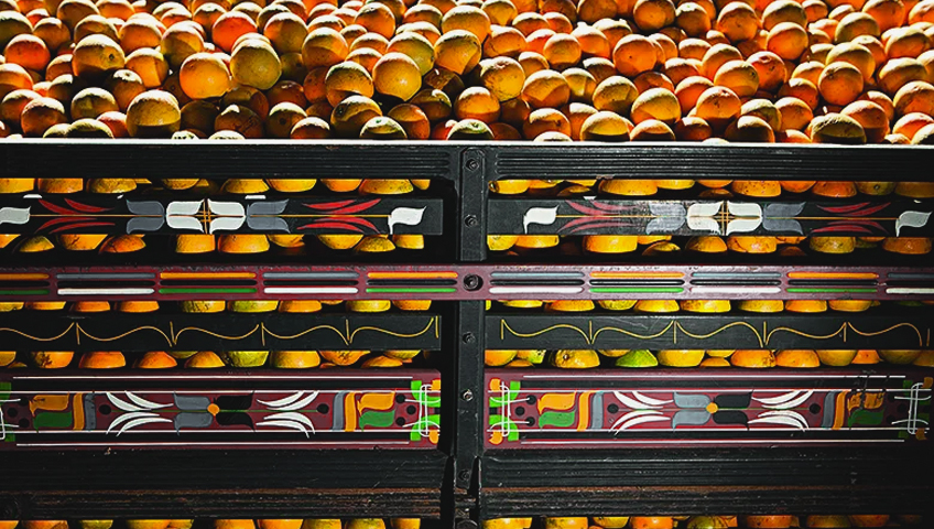 transporte de alimentos